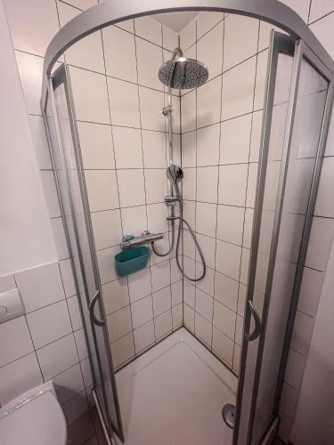 Ferienwohnung Zentrum - Albert - Apartment - Dresden