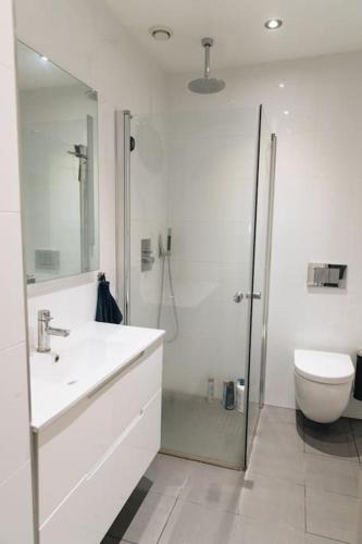 Modern 3-room top floor apartment, Oslo (zdjęcie 8)