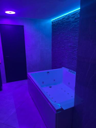 Jungle suite romantic - private Jacuzzi -, Bruxelles (foto 4)