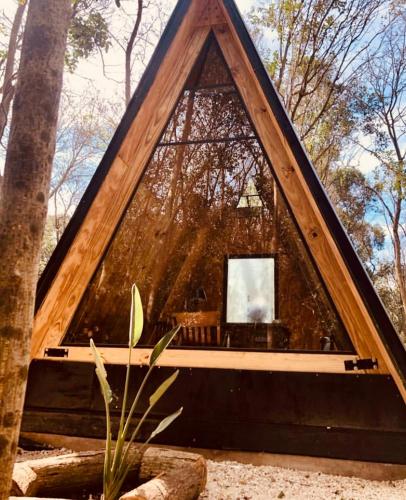 Forest Glam