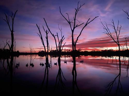 Заобикаляща среда, Boshack Farm Stay Perth in Coondle