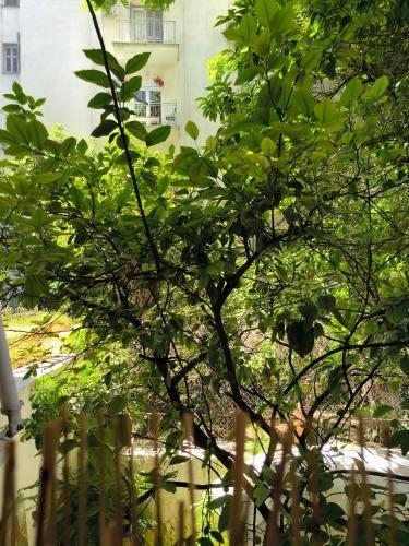 Athens Nice n Easy Apartment