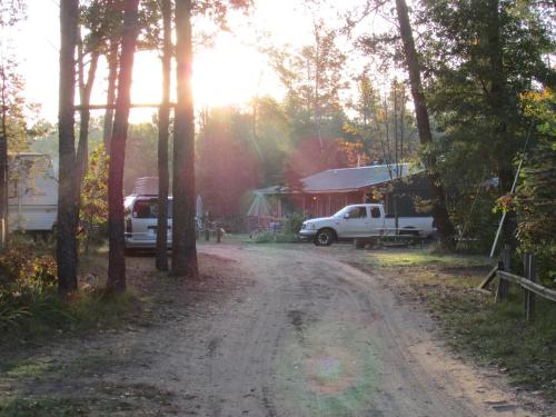 Best Bear Lodge in Irons, USA