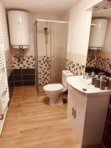 Vannituba, Apartmán Václavská 109 (Apartman Vaclavska 109) in Jindrichuv Hradec