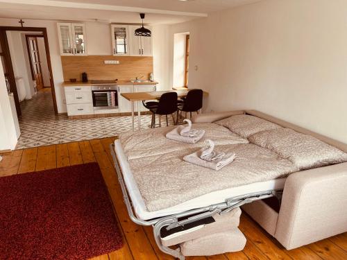 köök, Apartmán Václavská 109 (Apartman Vaclavska 109) in Jindrichuv Hradec