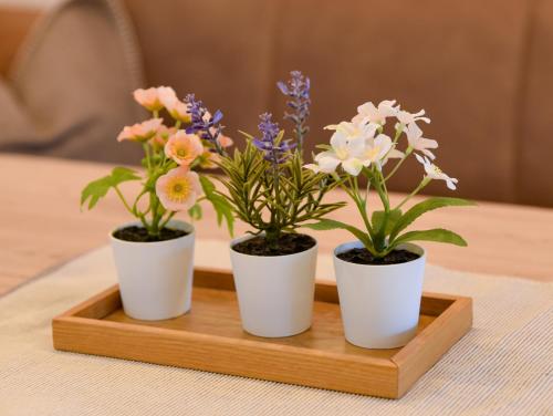 Mountain View Appartements mit Blick