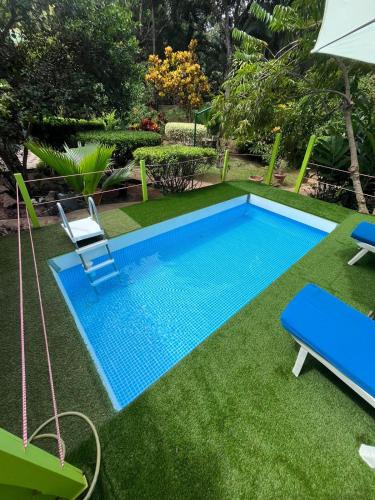 بيل ديس إيليس بيل ديس إيليس