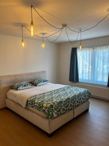 Appartement 'Le Petit Paris' in 赫爾