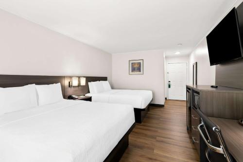 Quality Inn Merrimack - Nashua - image 11