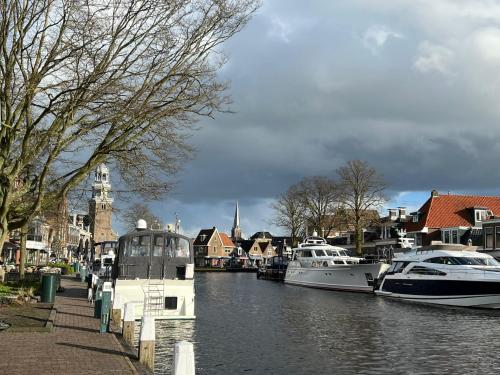 Beachsuites Lemmer Beach suites luxe - image 13