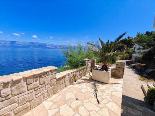 Robinson Merlot - image 4