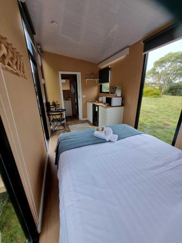 Live In Nature by Tiny Away