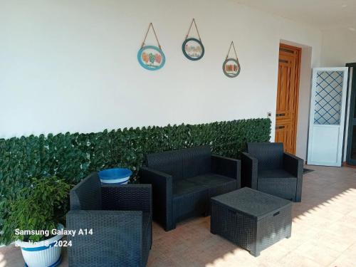 外部景觀, La Cycas in 特拉比亞