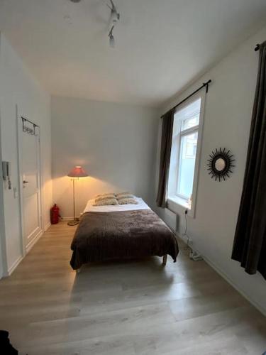 Cute central studio appartment