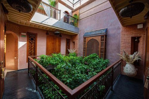 Riad Livia Marrakech - Adults Only - image 12