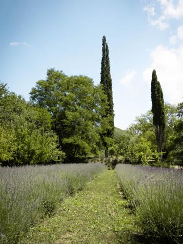 Vistas, Glamping Dragonja River in Izola