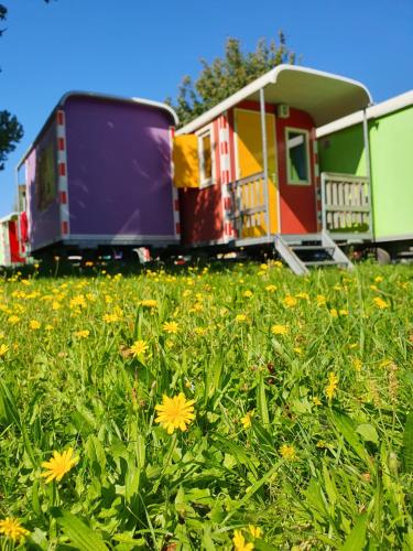 Camping Zeeburg Amsterdam - image 2