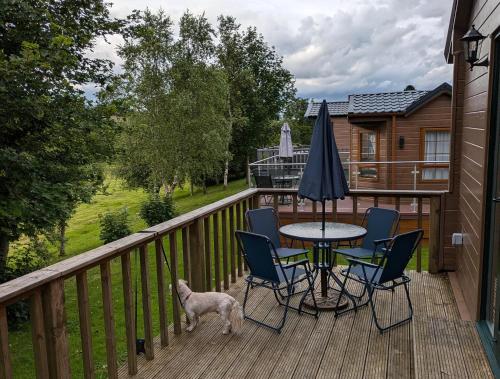 Зручності, Pet Friendly - Lodge at Riverview Holiday Park in Ньюкаслтон
