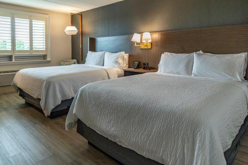 Standard Room with Two Queen Beds