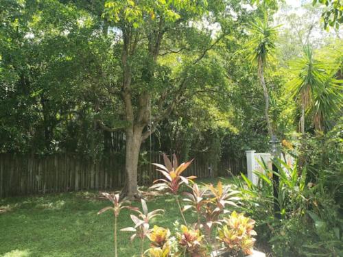 Apts with Backyard Near Fort Lauderdale Beach, Nightlife, Cruise Port, Airport in Fort Lauderdale, USA