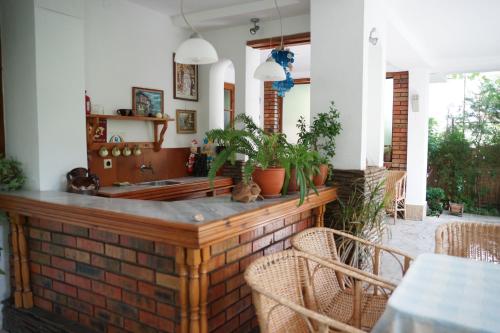 花園, Guest House Barbov in 奧布佐爾