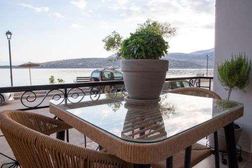 Nerissa Seafront apartment in 이타