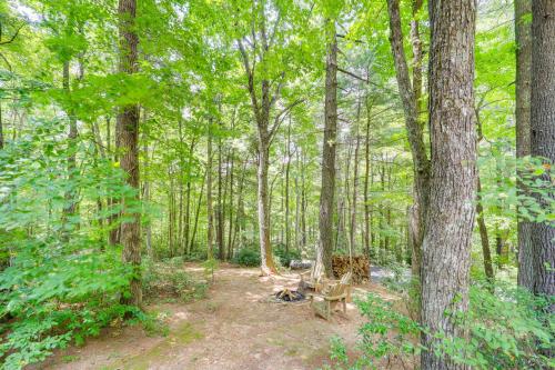 Woodland Cabin with Hot Tub and Deck 11 Mi to Boone! - image 13