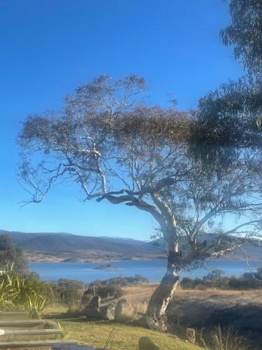 Northglow by REthynk, Jindabyne (fotografie 7)