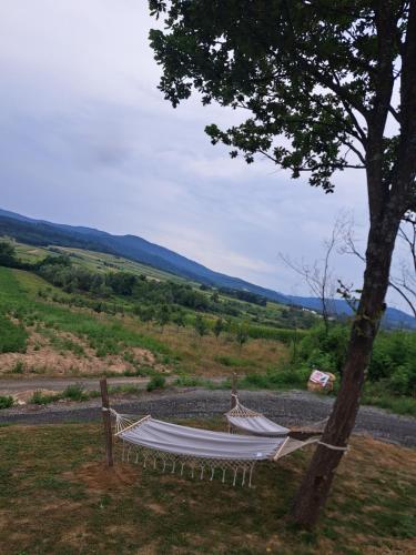 CabanA-lupu in Făget