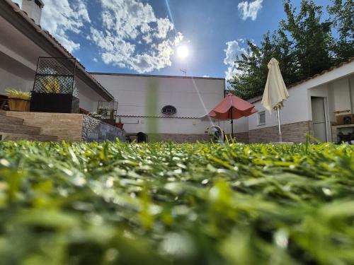 Kert, Casa Rural Los Pinillos in Mahora