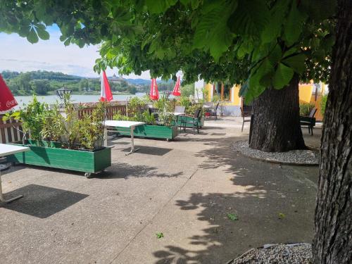 景觀, Gasthof Weidenauer- Gabi's Café (Gasthof Weidenauer- Gabi's Cafe) in 多瑙河畔埃默斯多夫