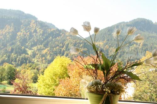 Hotel Garni Entstrasser - image 8