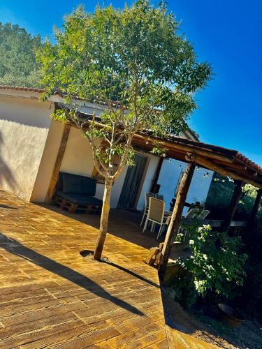 Finca Charco La Olla in La Nava