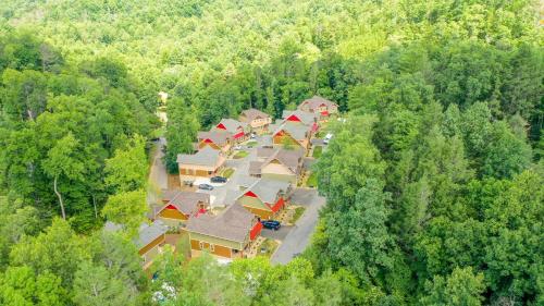 Chateau Bliss by Eden Crest in Gatlinburg, USA
