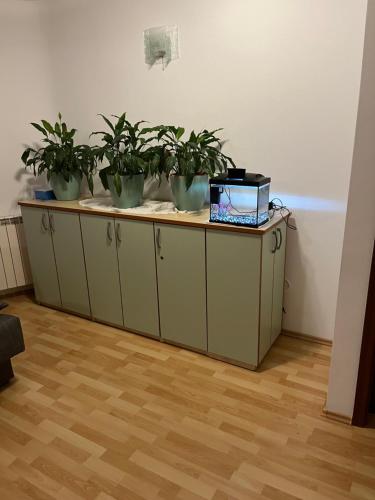 Two-Bedroom Deluxe Apartment with Balcony