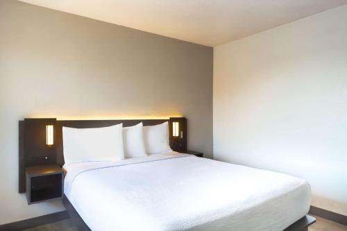 Motel 6-Del Rio TX - image 10