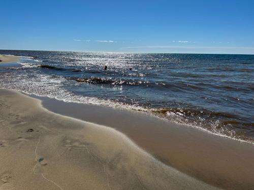 The Amazing Escape in Manistee, USA