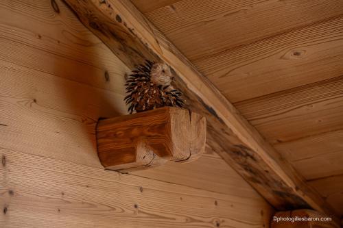 Chalet la Forestière - Apartment - Orcières-Merlette