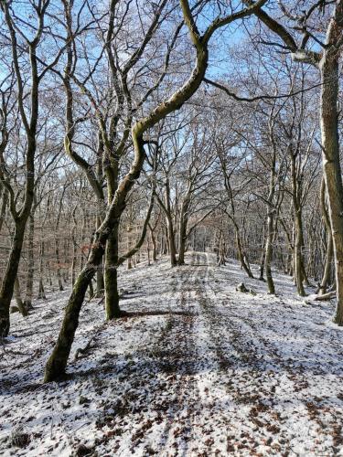 Auszeit-bei-Brandt im Sauerland in Korbach