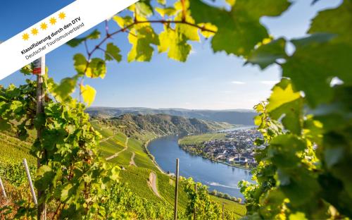 Wohlfühloase an der Mosel (Wohlfuhloase an der Mosel) in Osann-Monzel