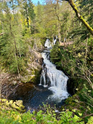 Hôtel Les Chatelminés - image 13