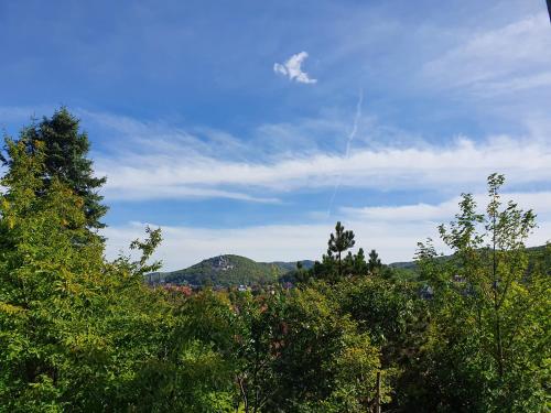 Apartments Villa-Ratskopf Wernigerode - image 13