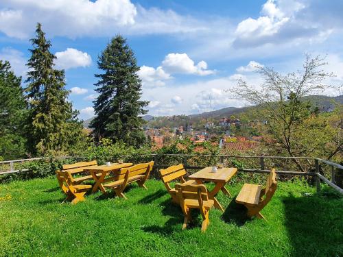 Apartments Villa-Ratskopf Wernigerode - image 9