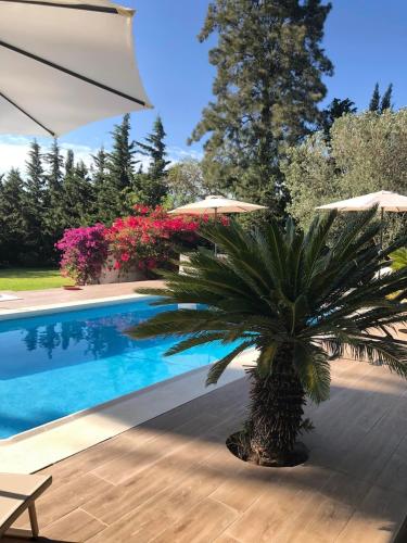 สระว่ายน้ำ, Abajo Stijlvol appartement met zwembad en tuin in คอสตาเดลาลูซ (คาดิซ)