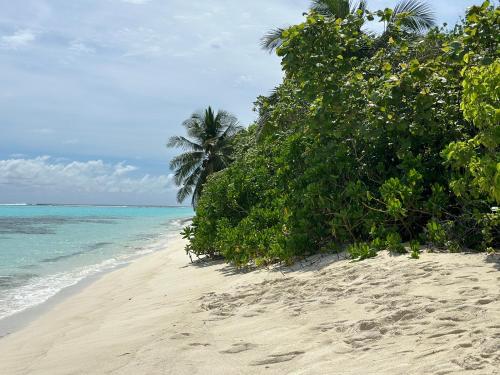 Boli Villa Thoddoo Boli Villa Thoddoo