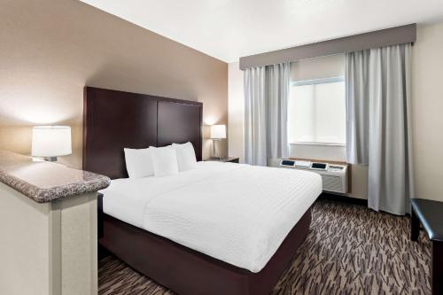 King Room image 6