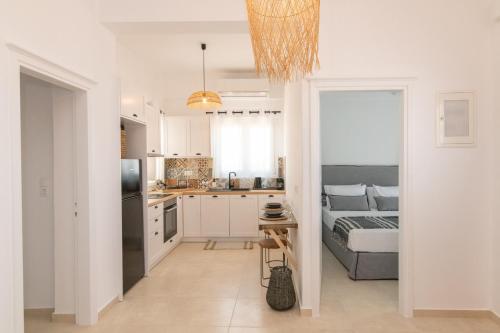 Anemis B, Tinos (Foto 2)
