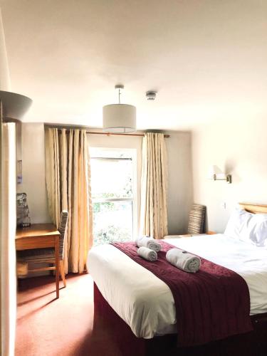 The Vines Inn - image 7
