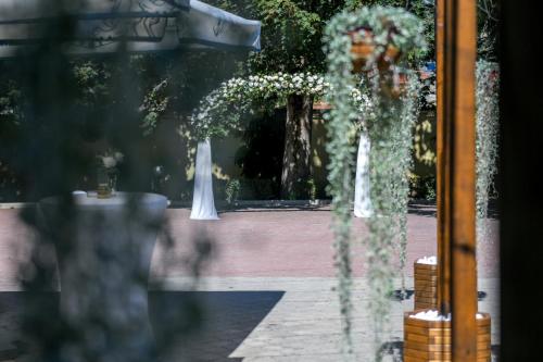 Hotel Fontana - image 6