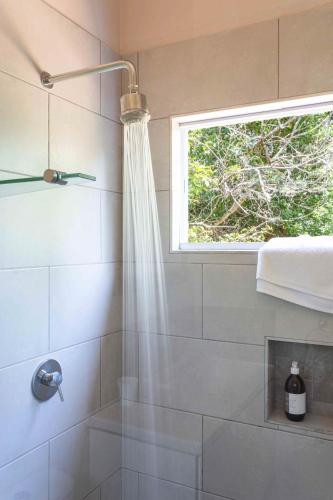 Forest Glades Forest Glades